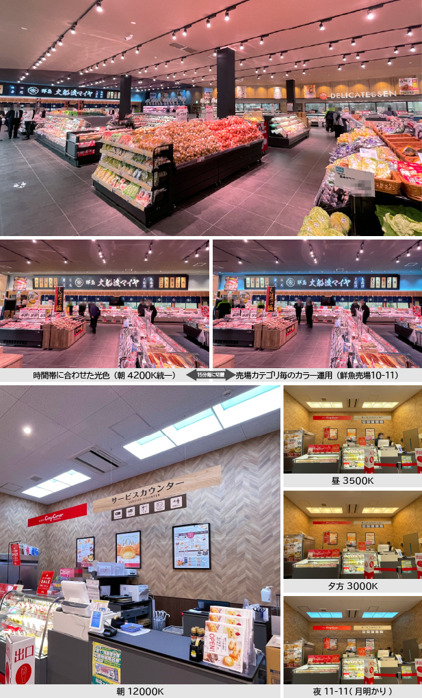 マイヤ宮古磯鶏店