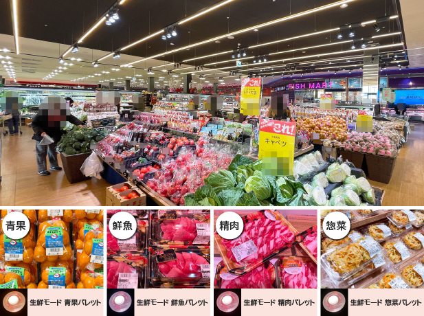 仙台ハーベストビレッジ店