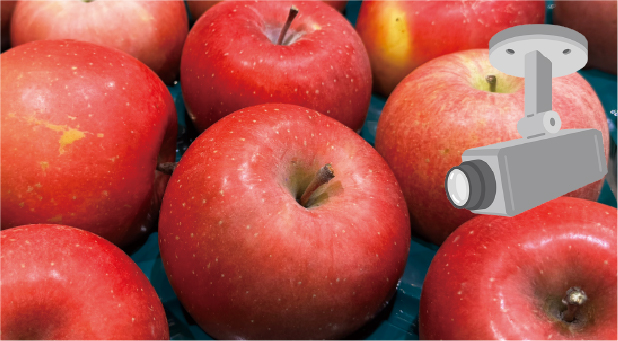 AIカメラ商品連動オプション ≪ 開発中 ≫