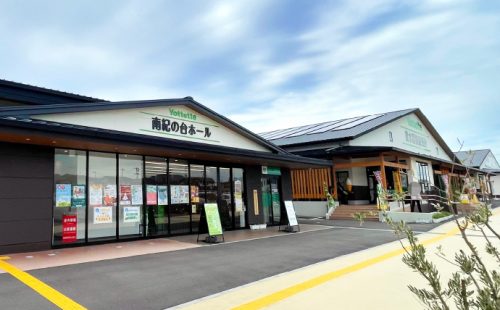 紀州 木の街 フルーツが香る 南紀の台 Yottette広場